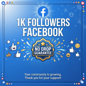Facebook 1k follow page profile all tipe non drop